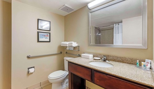 Suite, 1 King Bed, Accessible, Non Smoking