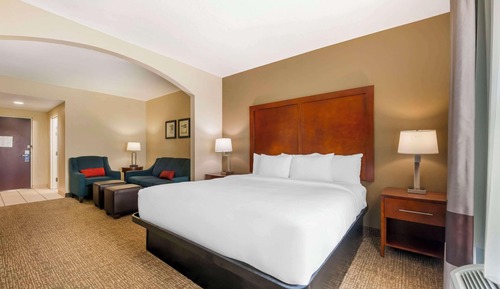 Room, 1 King Bed