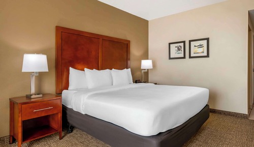 Room, 1 King Bed, Accessible, Non Smoking