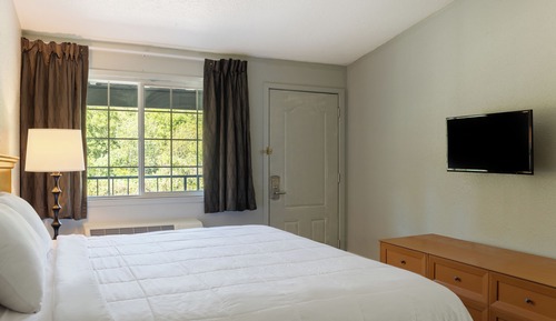 Room, 1 King Bed