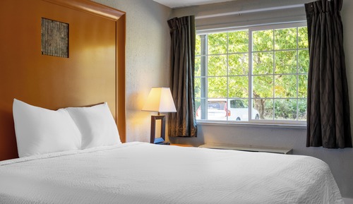 Room, 1 King Bed, Accessible
