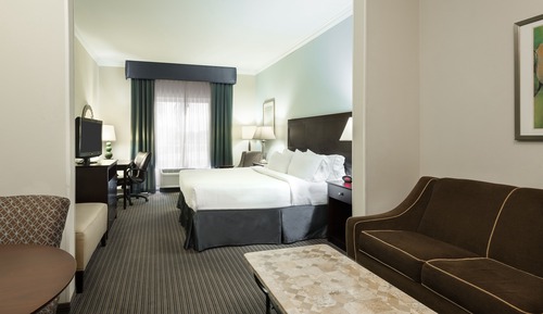 Suite, 1 King Bed with Sofa bed