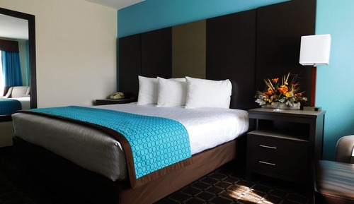 Standard Room, 1 King Bed, Accessible, Non Smoking