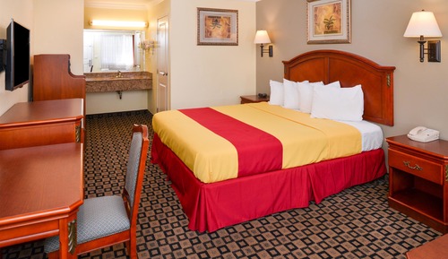 Suite, 1 King Bed