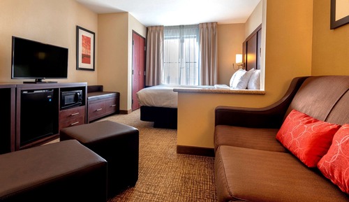 Suite, 1 King Bed with Sofa bed, Accessible, Non Smoking