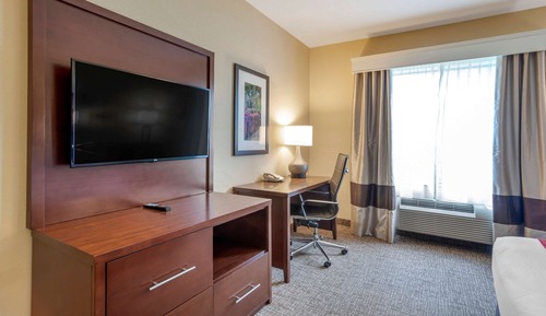 Room, 1 King Bed, Accessible, Non Smoking (Roll-In Shower)