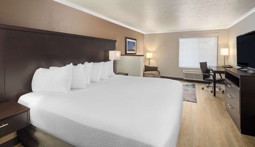 Room, 1 King Bed, Non Smoking