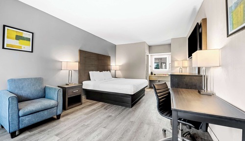 Standard Room, 1 King Bed, Non Smoking, Refrigerator & Microwave (Pet Friendly)