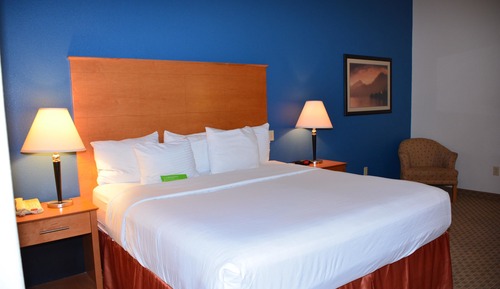 Room, 1 King Bed, Accessible, Non Smoking (Tub with Grab Bars)