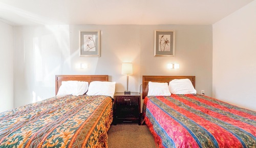 Standard Room, Multiple Beds(4)