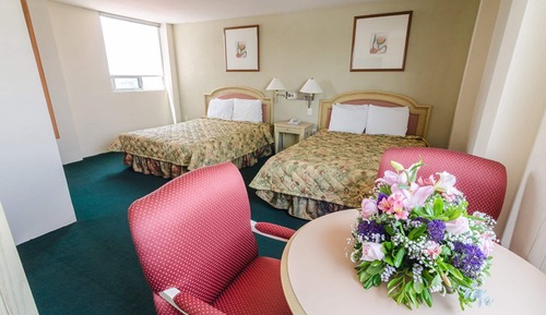 Standard Room, 2 Double Beds