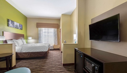 Suite, 1 King Bed with Sofa bed, Non Smoking