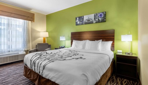 Room, 1 King Bed, Non Smoking