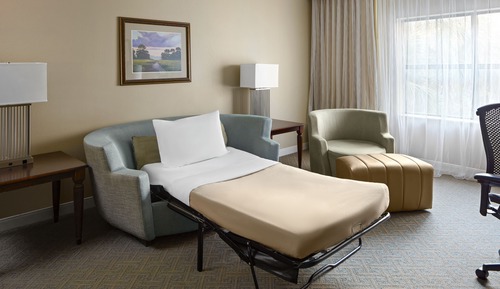 Room, 1 King Bed with Sofa bed