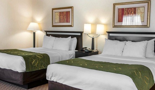 Suite, Multiple Beds, Accessible, Non Smoking