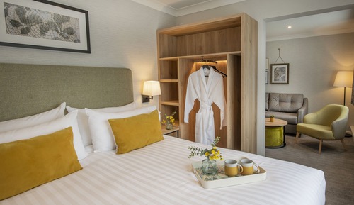Executive Suite with Terrace