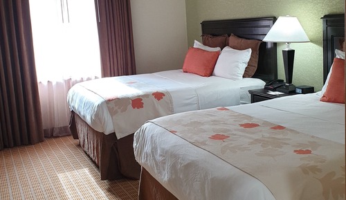 Executive Suite, 1 Bedroom, Non Smoking, Kitchen