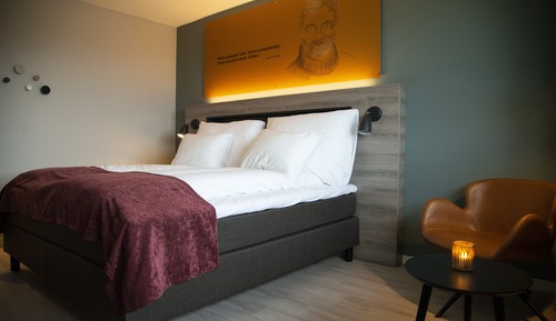Double Room, 1 Queen Bed (Queen bed)