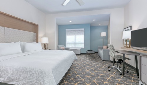 Suite, 1 King Bed with Sofa bed