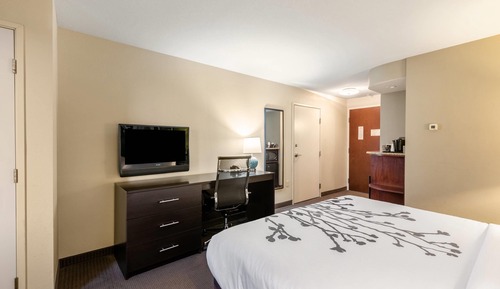 Standard Room, 1 King Bed, Non Smoking