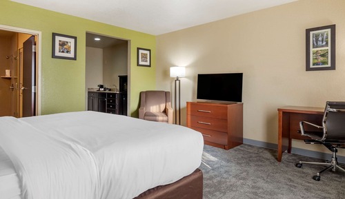 Room, 1 King Bed, Accessible, Non Smoking