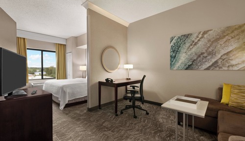 Suite, 1 King Bed with Sofa bed