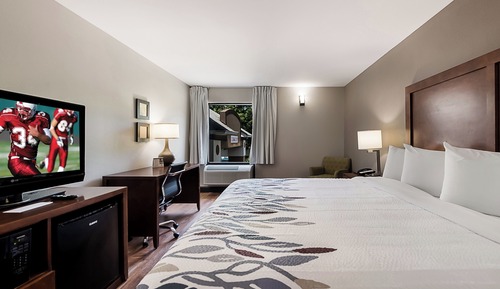 Superior Room, 1 King Bed, Mobility Accessible, Non Smoking
