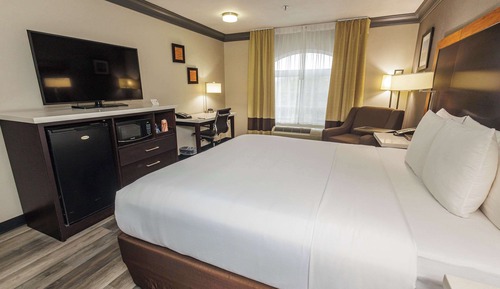 Room, 1 King Bed, Accessible, Non Smoking