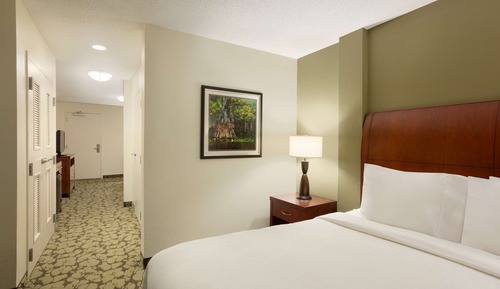 Room, 1 King Bed