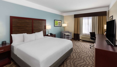 Room, 1 King Bed, Non Smoking
