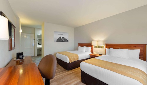 Double Room, 2 Double Beds, Non Smoking