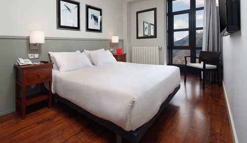 Double Room Single Use