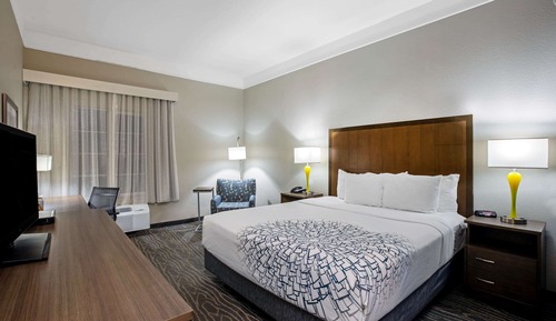 Room, 1 King Bed, Non Smoking