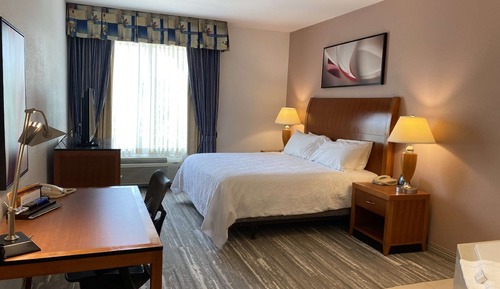 Suite, One King Bed
