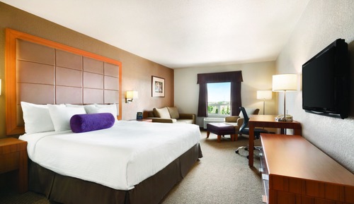 Room, 1 King Bed with Sofa bed, Non Smoking