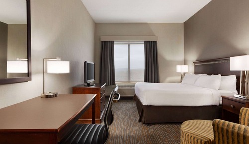 Room, 1 King Bed, Accessible, Non Smoking (Roll-in Shower              )