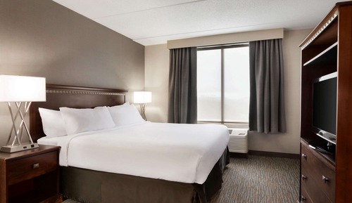 Room, 1 King Bed, Accessible, Non Smoking (Mobility, Bathub W/grab Bars)