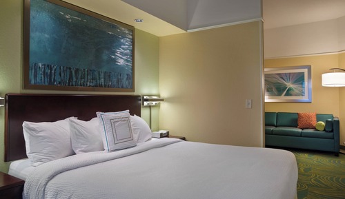 Suite, 1 King Bed with Sofa bed