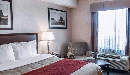 Room, 1 King Bed, Non Smoking