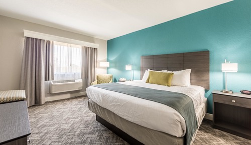 Standard Room, 1 King Bed, Accessible, Non Smoking