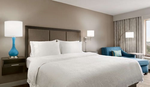 Room, 1 King Bed, Refrigerator