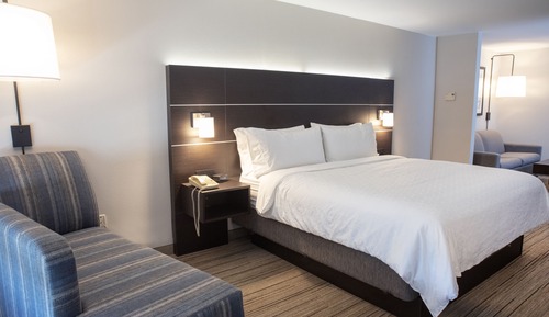 Suite, 1 King Bed with Sofa bed
