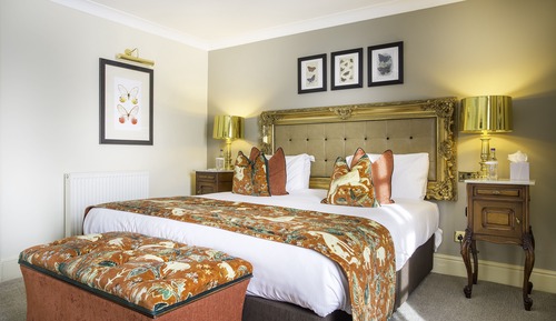 Junior Suite, 1 Double Bed