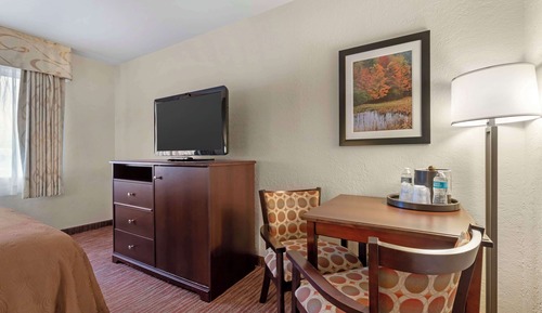 Standard Room, 1 Queen Bed, Accessible, Refrigerator & Microwave (Walk-in Shower)