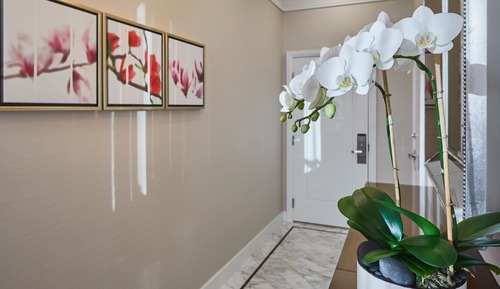 Penthouse (Suite)