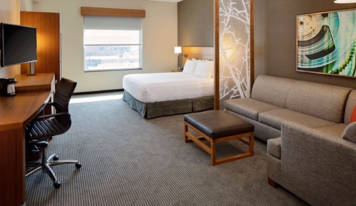 Room, 1 King Bed with Sofa bed, Accessible, Bathtub