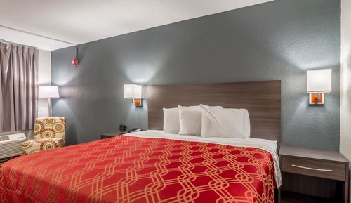 Standard Room, 1 King Bed, Non Smoking
