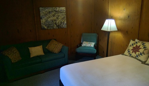 Standard Suite, 1 Queen Bed with Sofa bed, Garden View