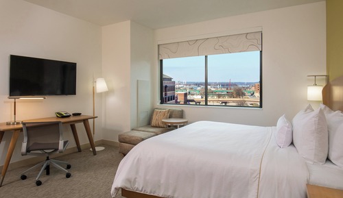 Room, 1 King Bed