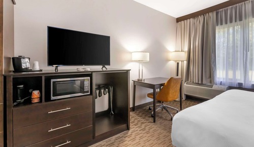 Room, 1 King Bed, Accessible, Non Smoking